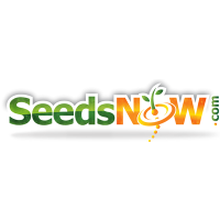 Seedsnow